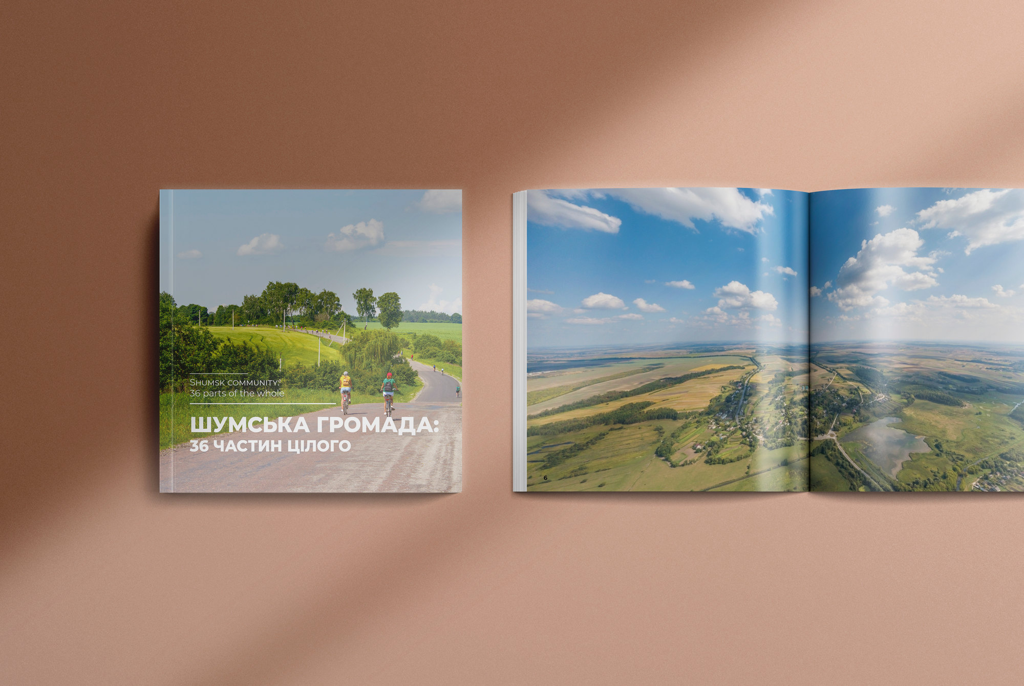 Shumsk community: 36 Parts of One