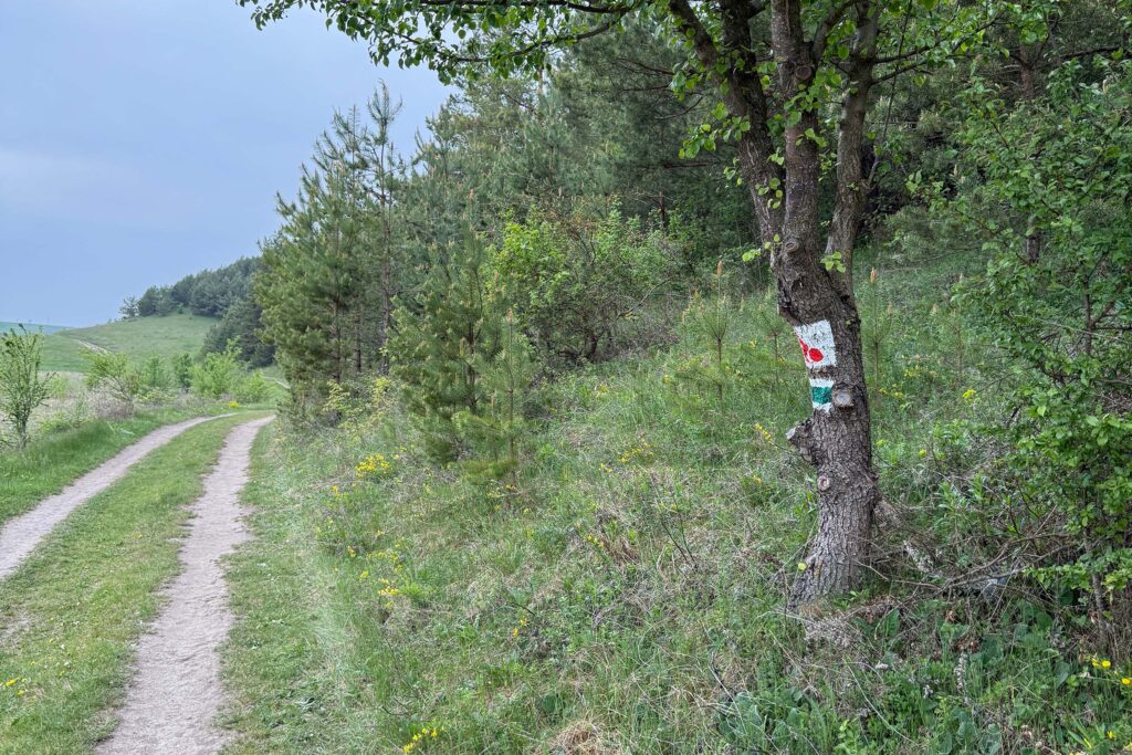 Маркування в рамках проєкту «ВІСТА ЗБРУЧА. Спадщина старого кордону»: чому це потрібно